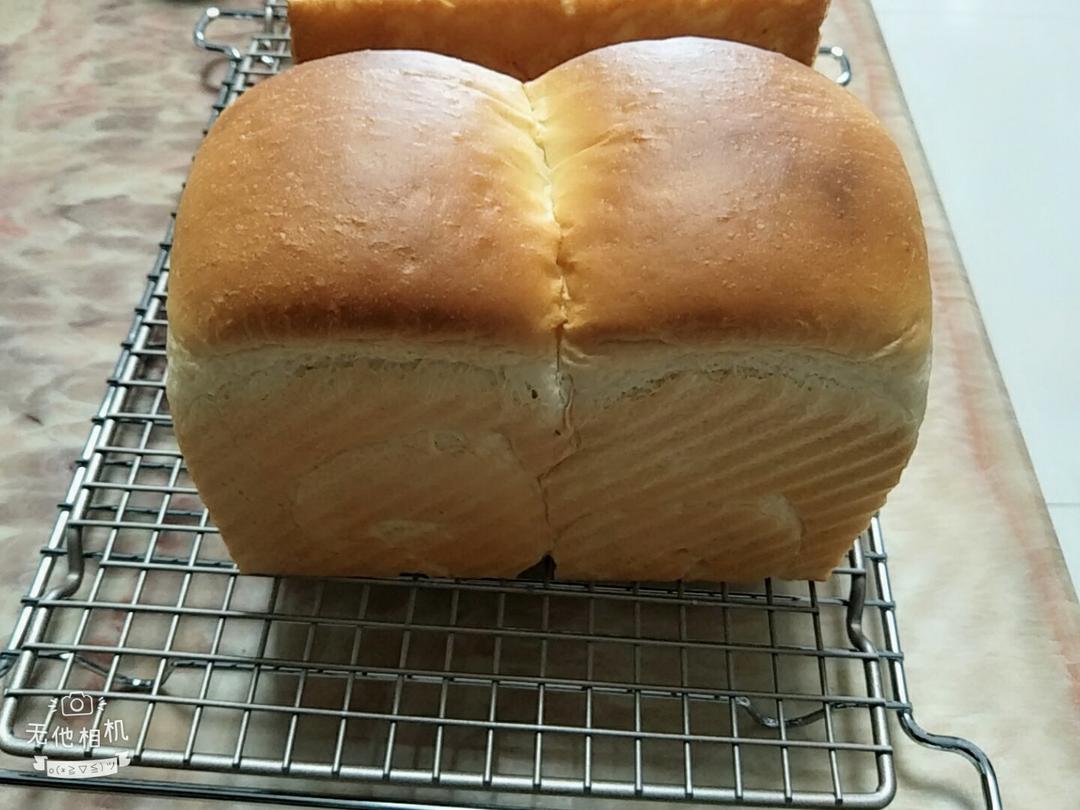 港式吐司～中种