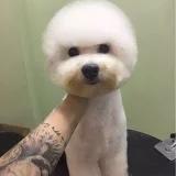 小Zamy