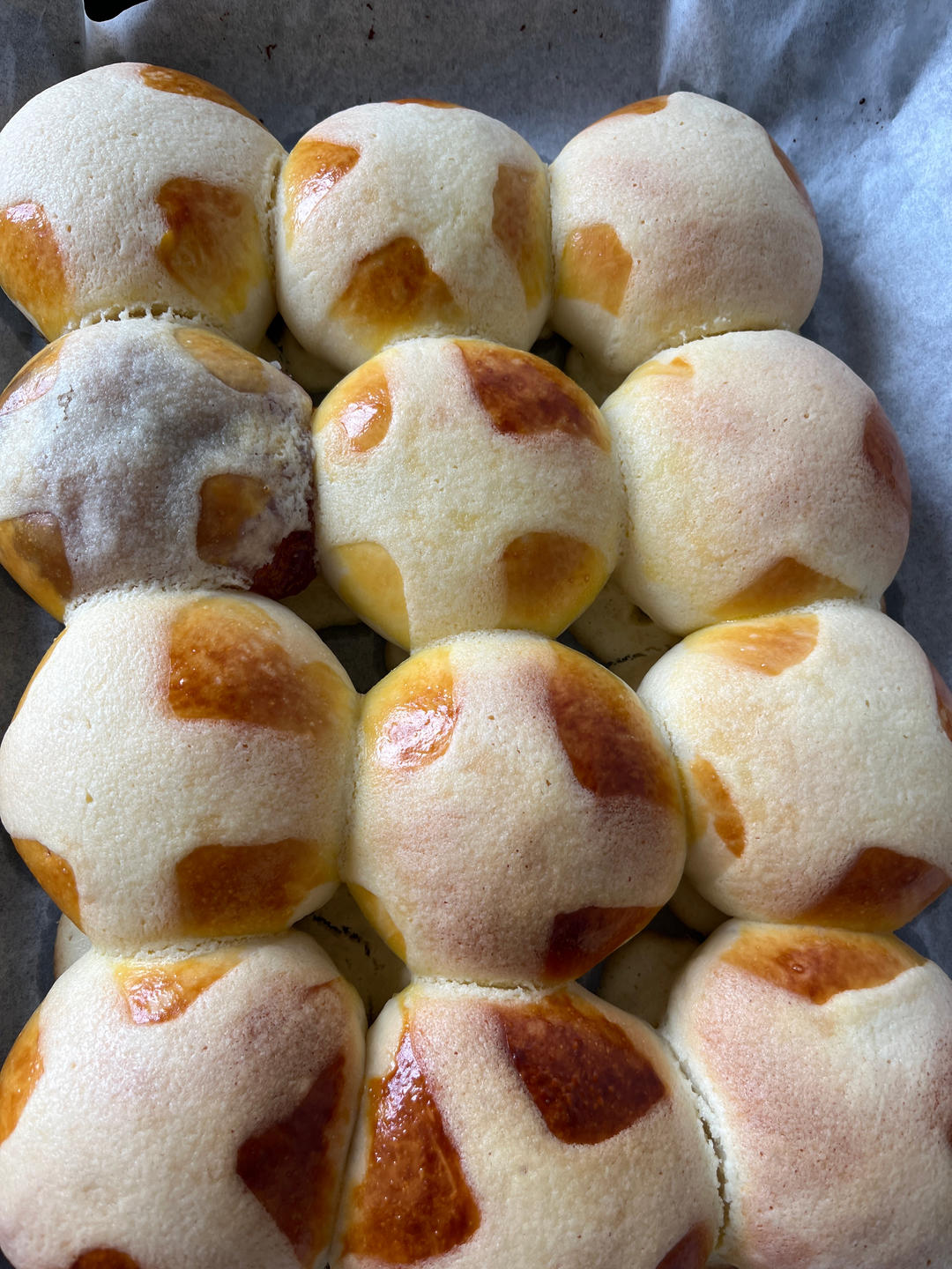 雪芙蓝莓小餐包