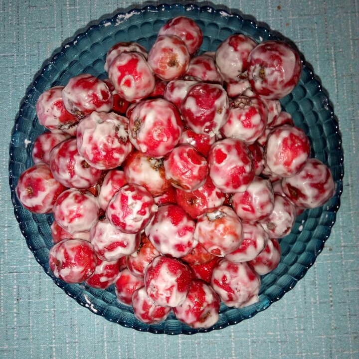 easy•山楂糖雪球