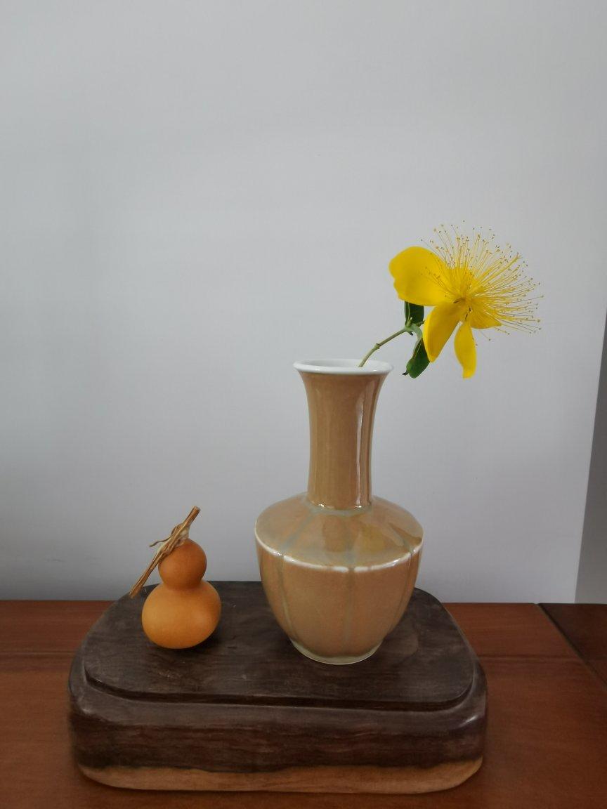 瓶花之美