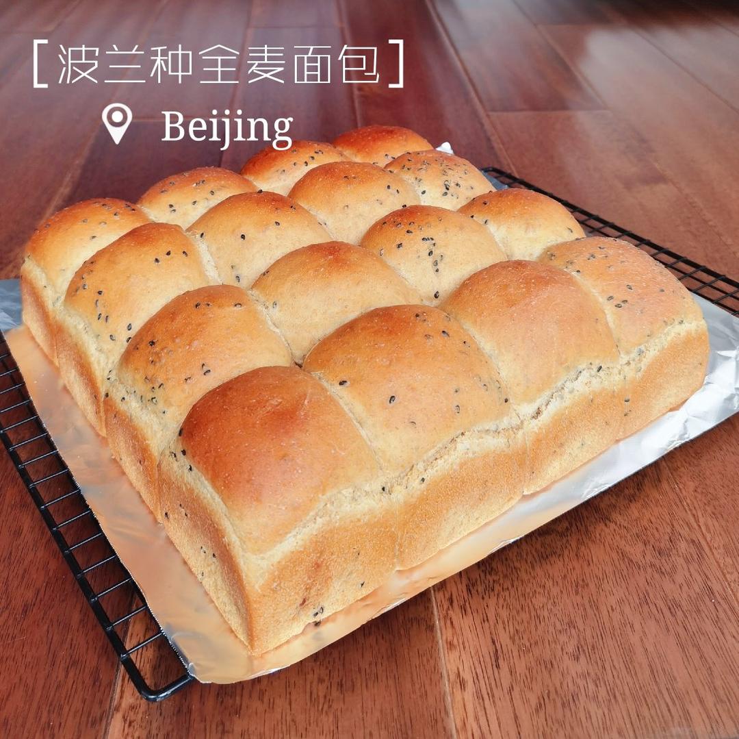 波兰种全麦面包🍞