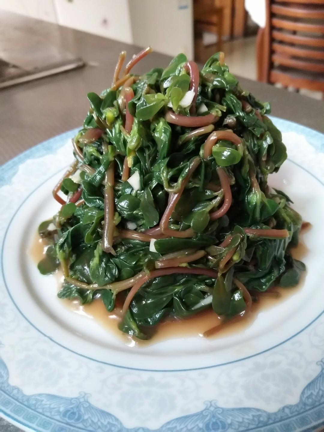 雪_雯做的凉拌马马菜(凉拌马齿苋)