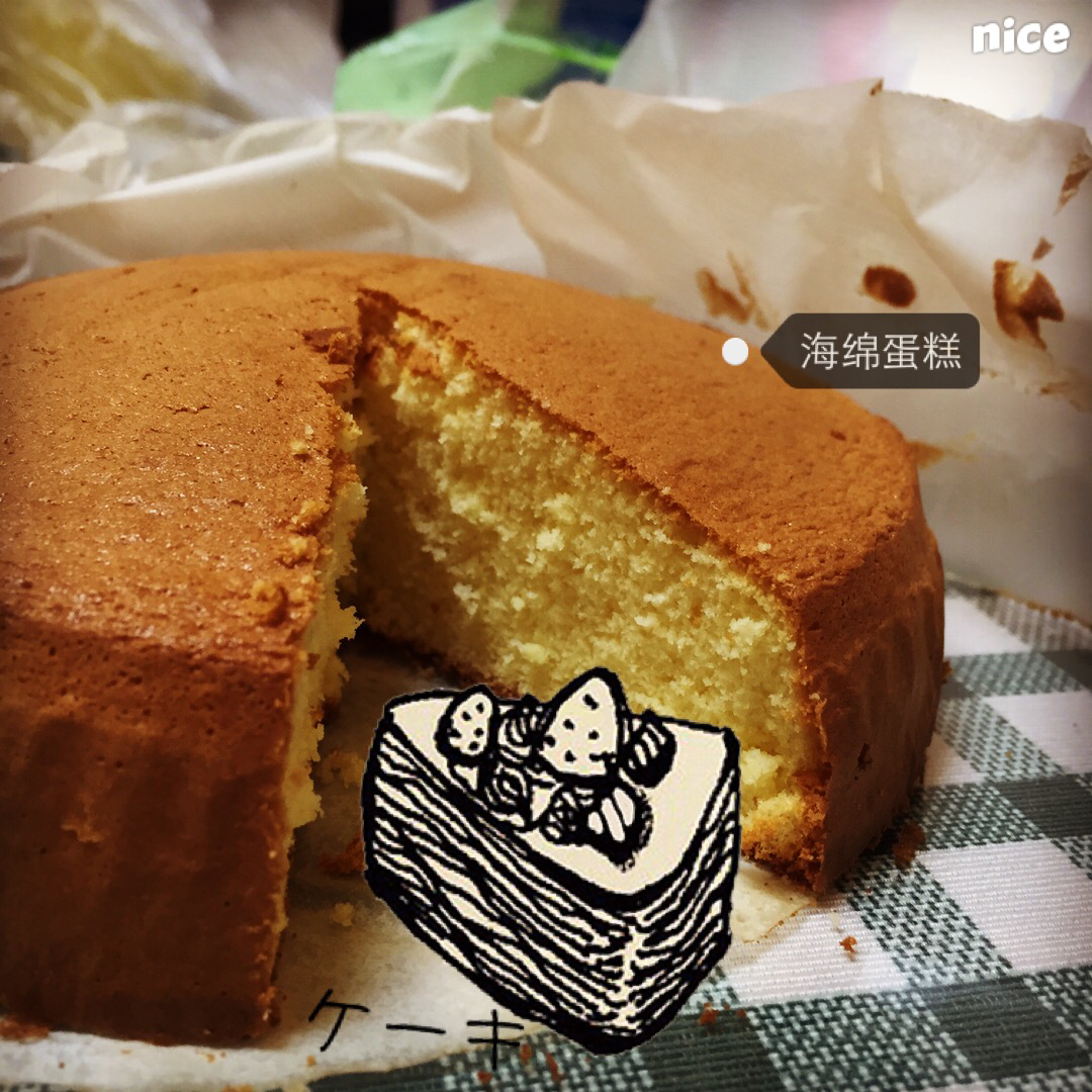 （不易失败的）日式海绵｜视频及gif