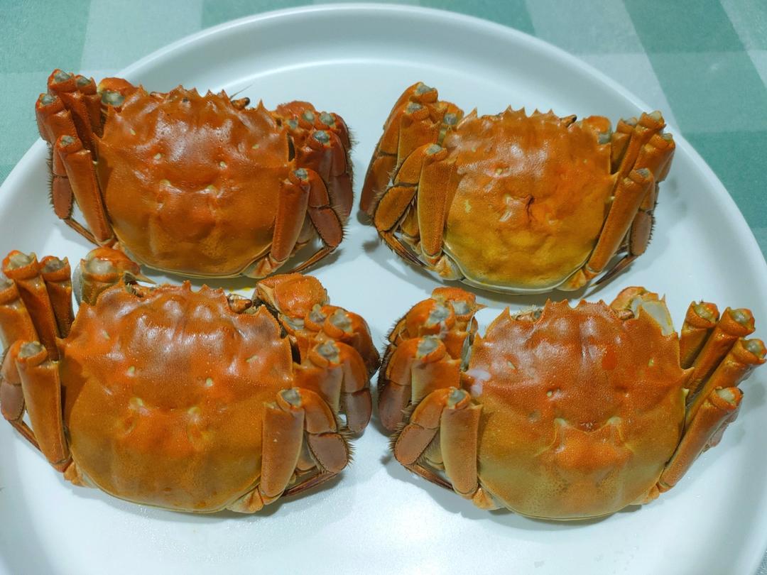 清蒸大闸蟹