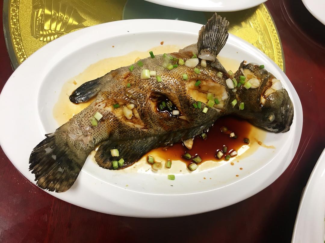 迷雾凝做的清蒸豉油老虎斑