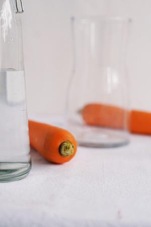 🌟越喝越瘦 |🥗 清肠排毒胡萝卜果蔬汁的做法 步骤3
