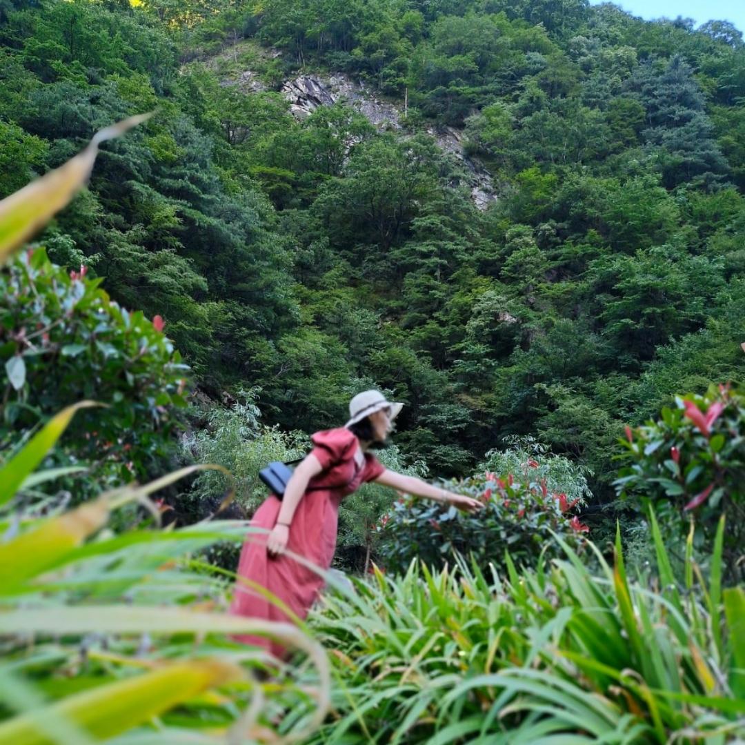 吃葡萄乱吐葡萄皮