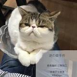 逆蝶手作
