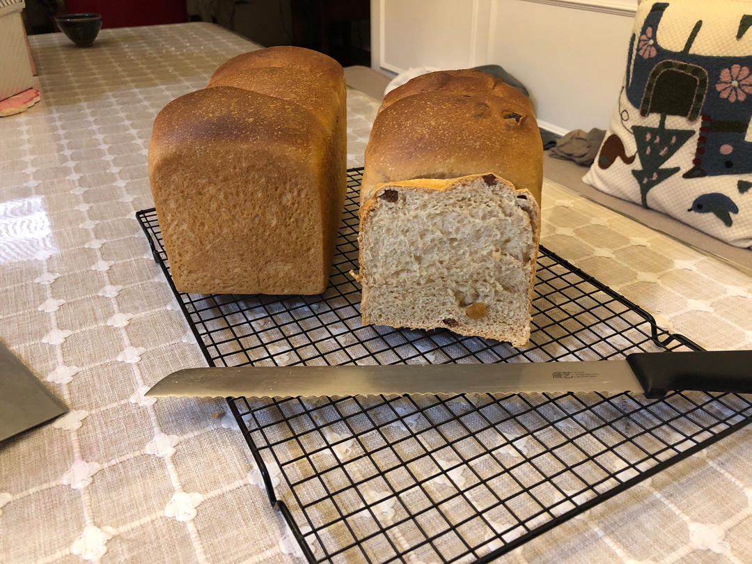 全家都爱吃的健康全麦吐司，新手也能做