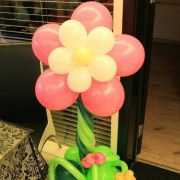 蜜思王小樣