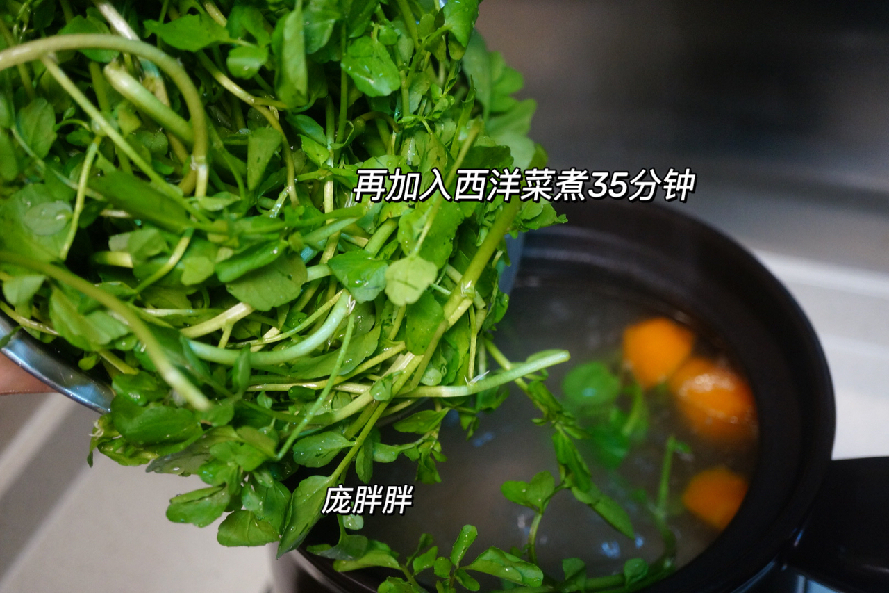 广东靓汤 清热下火润燥西洋菜南北杏筒骨汤的做法 步骤5
