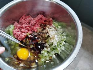 佟小鹤的家常菜--牛肉白菜水饺的做法 步骤5