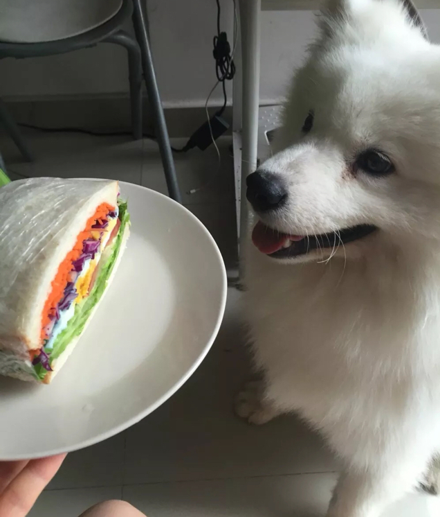 奥特曼三明治