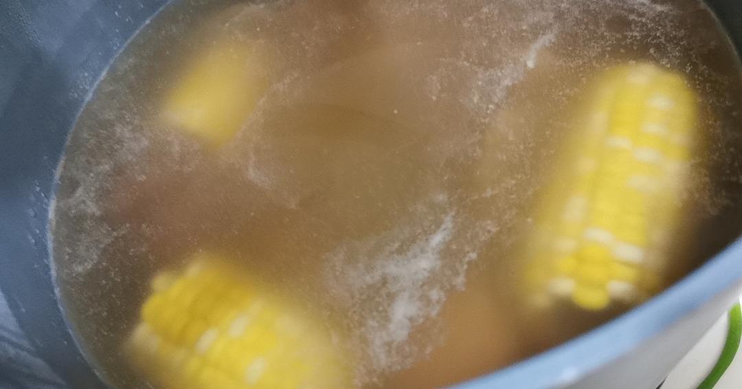 沙参玉竹麦冬蜜枣海底椰猪骨汤