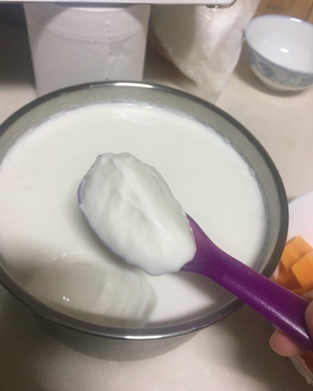 自制酸奶