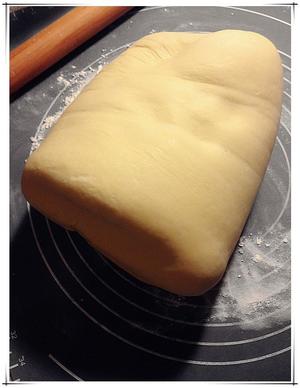 面包圣经--48h低温发酵基础布里欧修（天然酵种版）的做法 步骤9