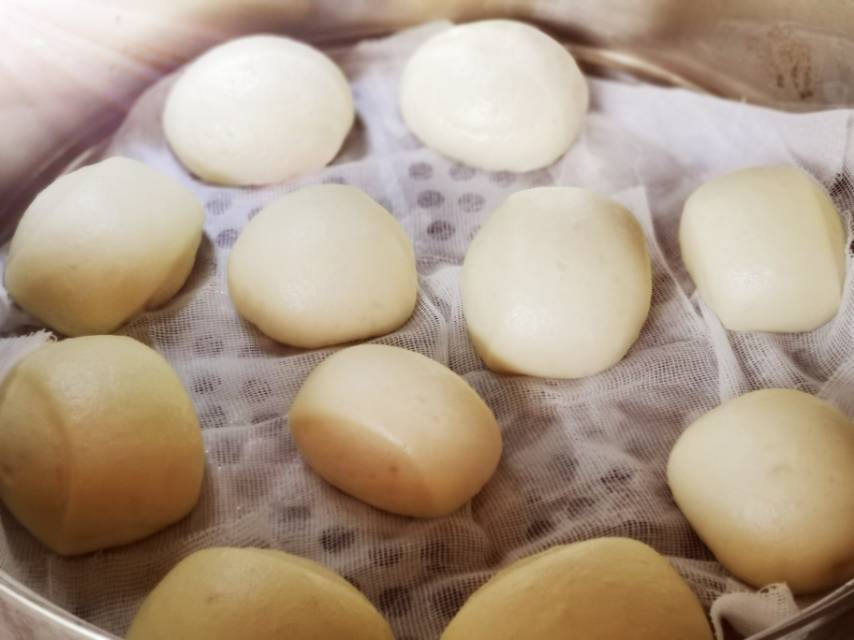 新手零失败刀切奶香馒头