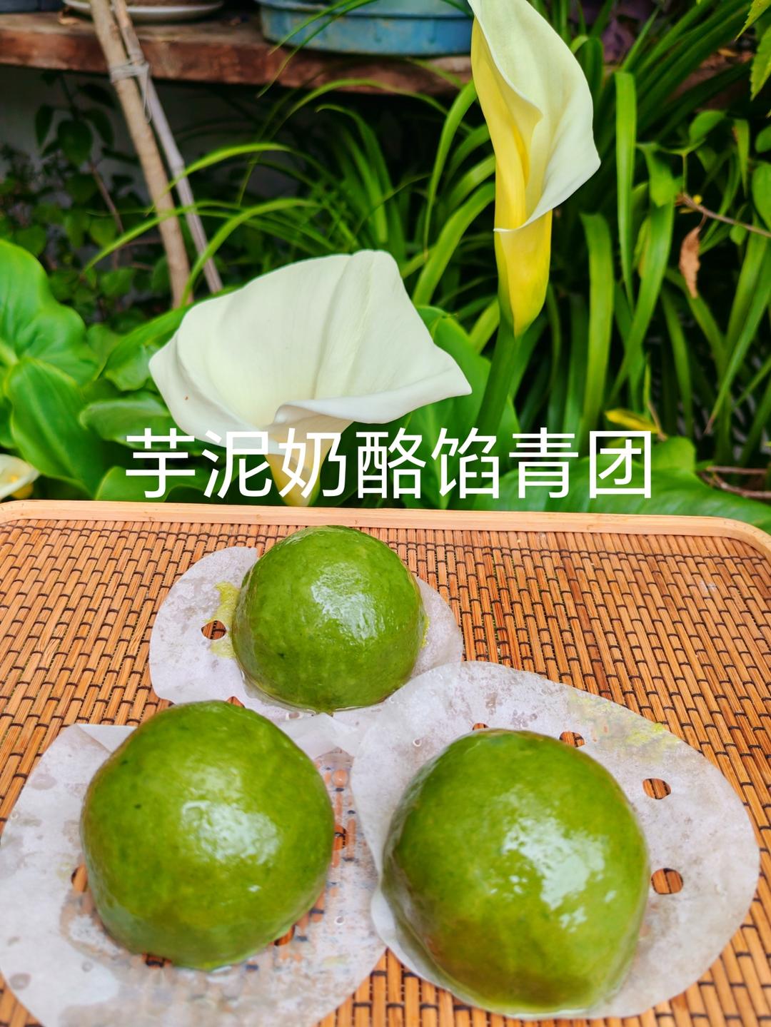 我妈自用几十年青团配方 3天不变硬 不塌陷 3款口味 芋泥肉松花生