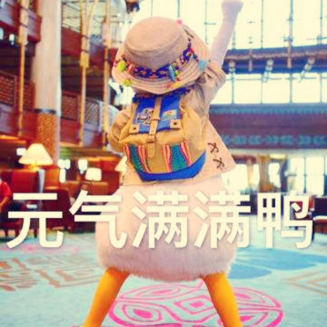 小球酱o