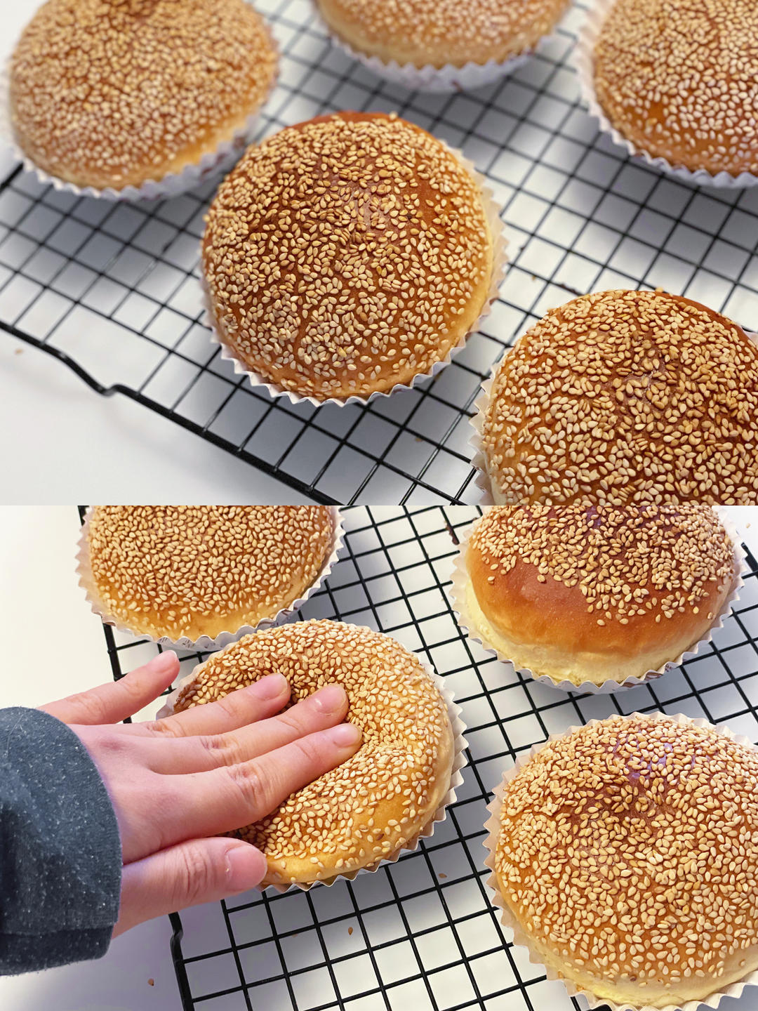 超~级松软的烫种汉堡胚