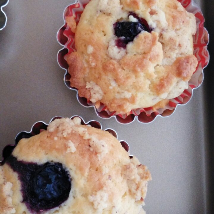 PH大师的金宝顶蓝莓马芬