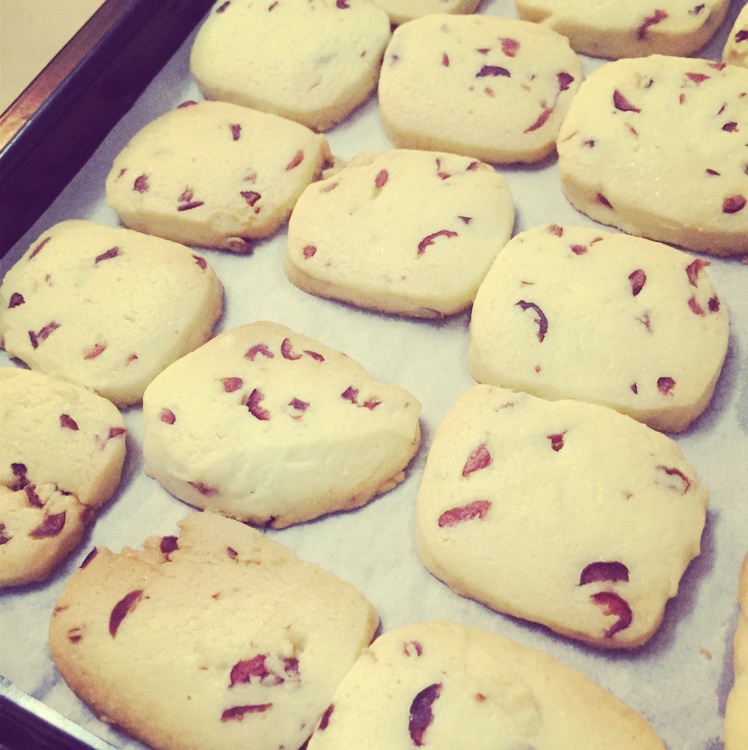 林家宝mmeibaby做的蔓越莓饼干新手烘焙0压力皮黑森林