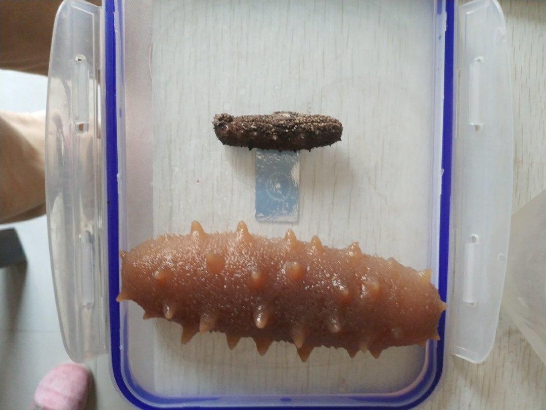 史上最方便、最节能的【私房海参发制法】