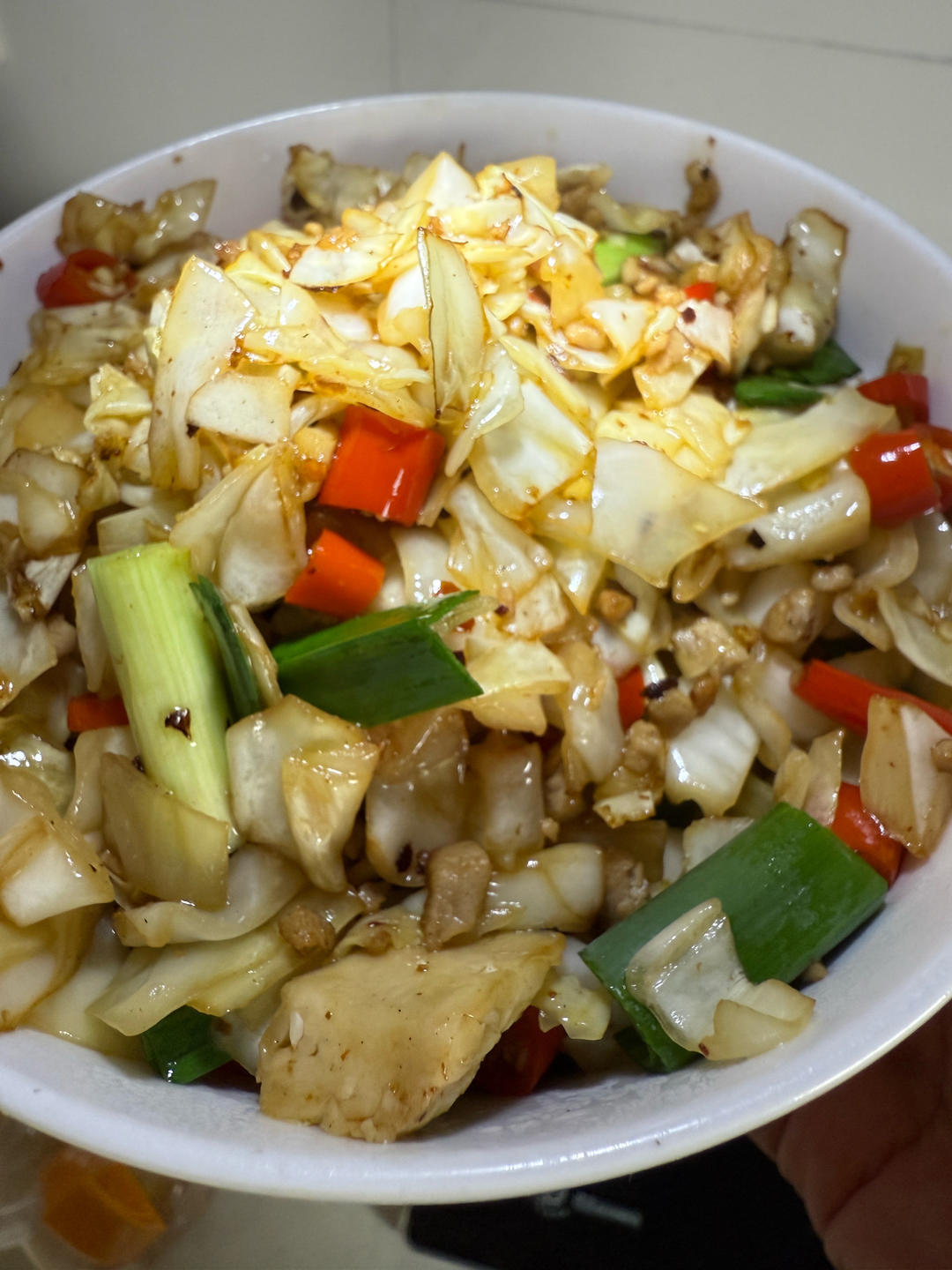 爆炒下饭湘菜（七）酸包菜肉泥 一盏灯同款