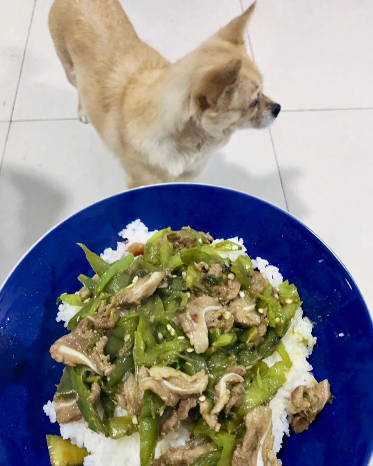 自己在家随便吃点