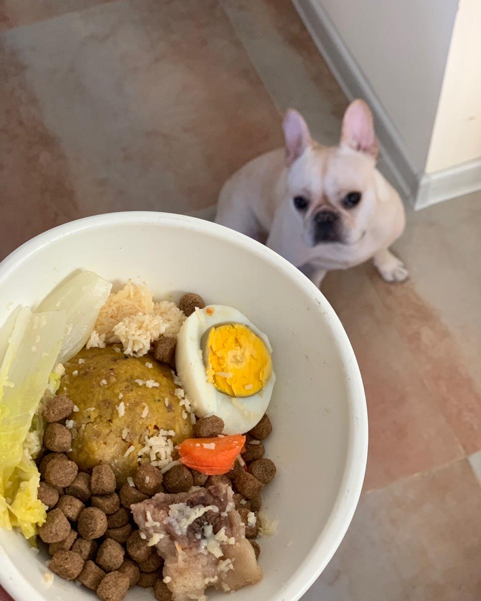 写给 2019 年的自己