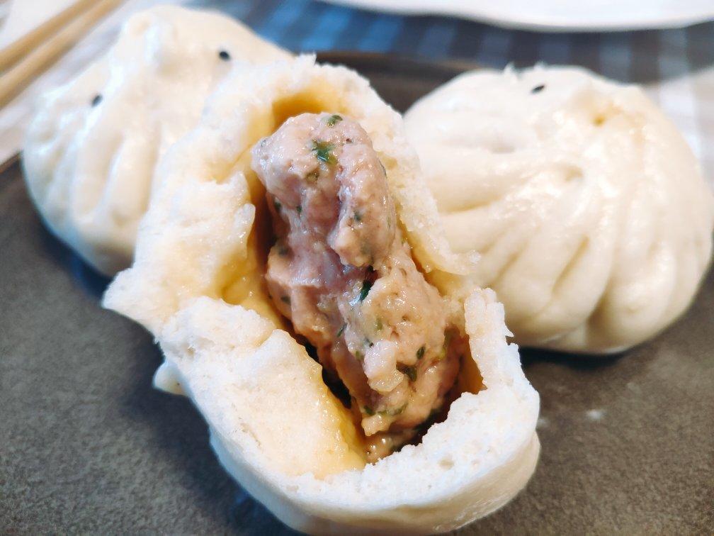 雨落尘水做的包子攻略:鲜肉包&菜肉包
