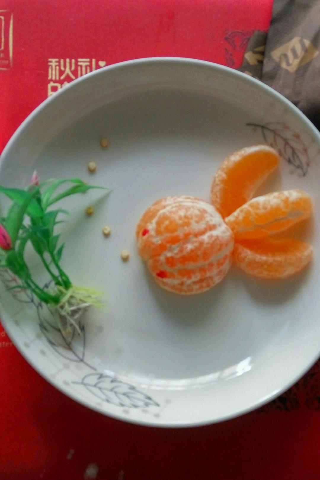水果金鱼
