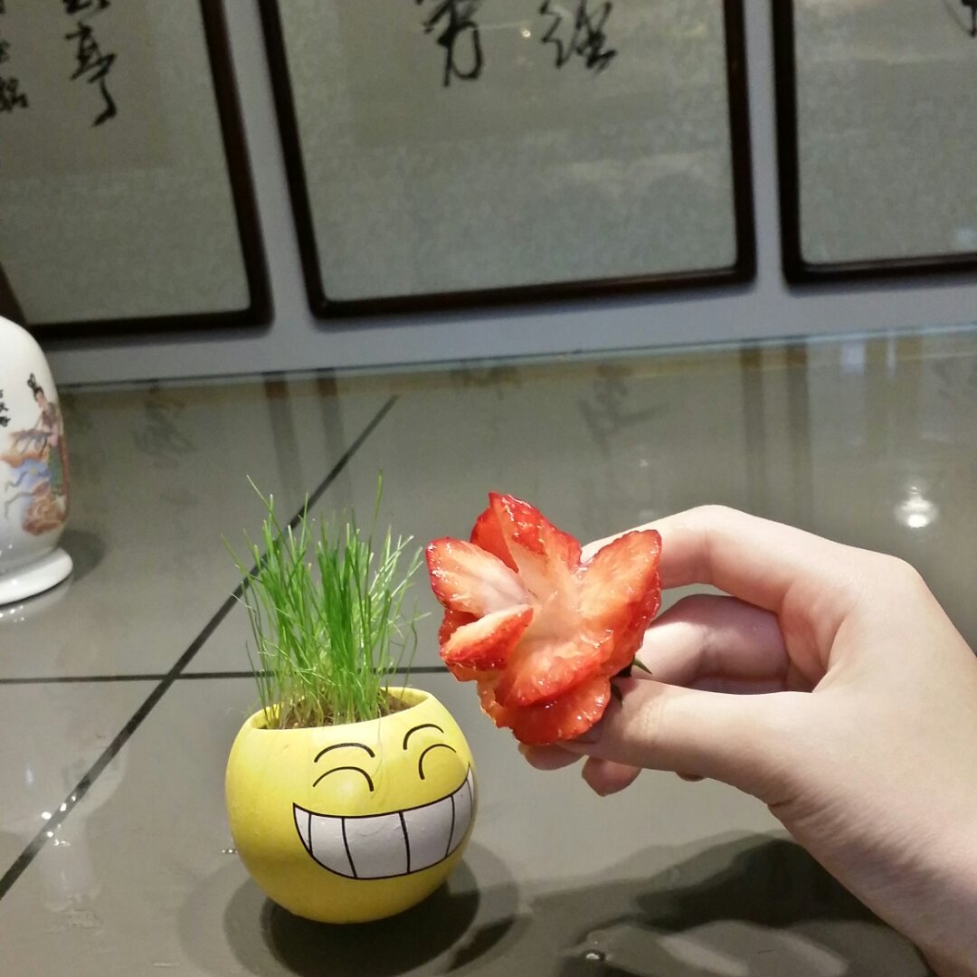 草莓玫瑰花