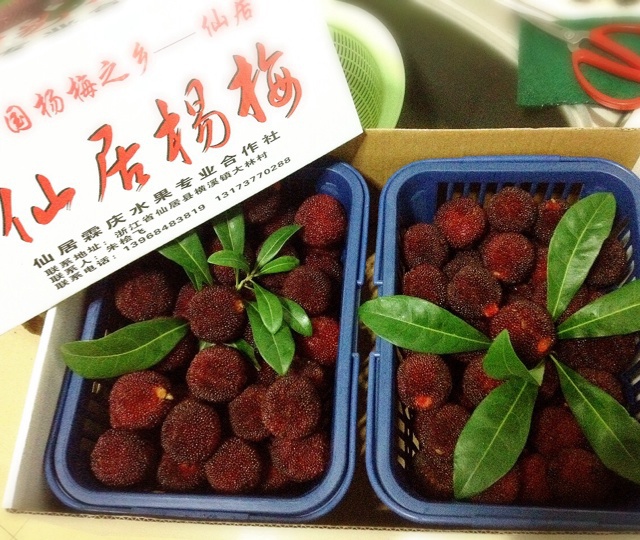 冰冻杨梅