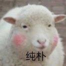 羊咩咩咩8
