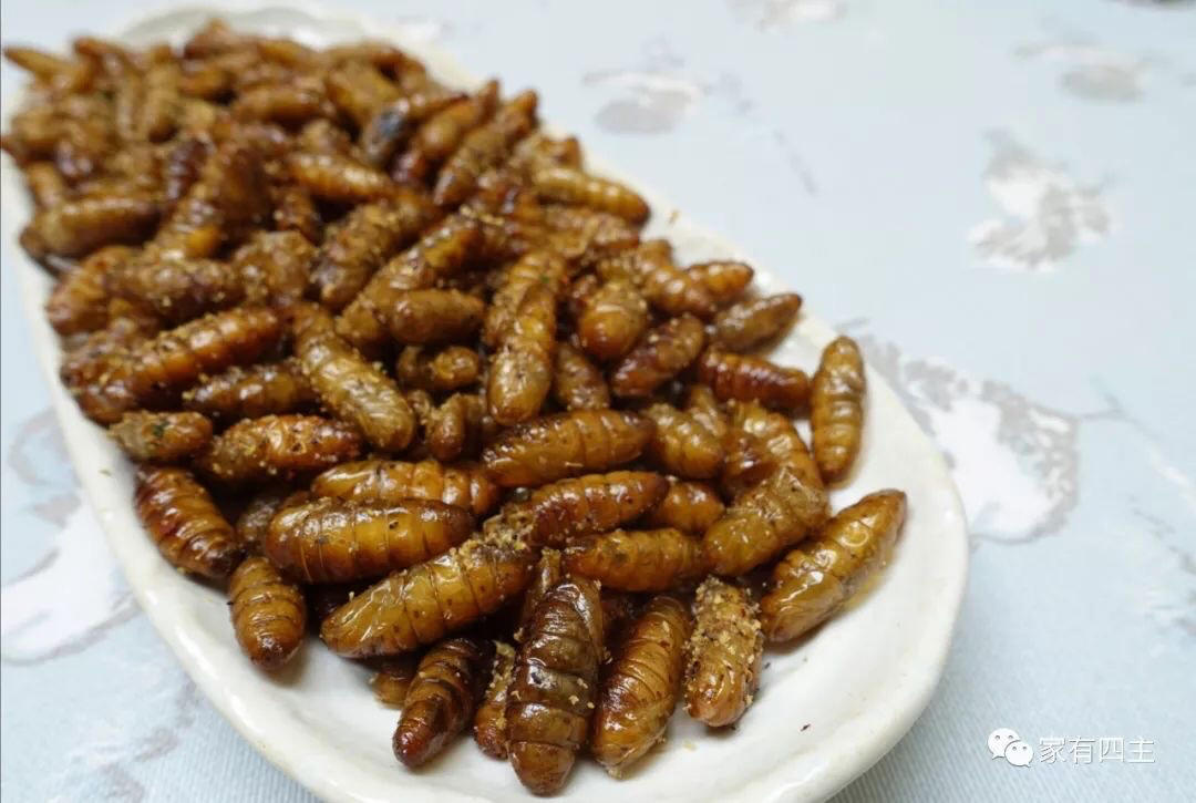 炸小蚕蛹