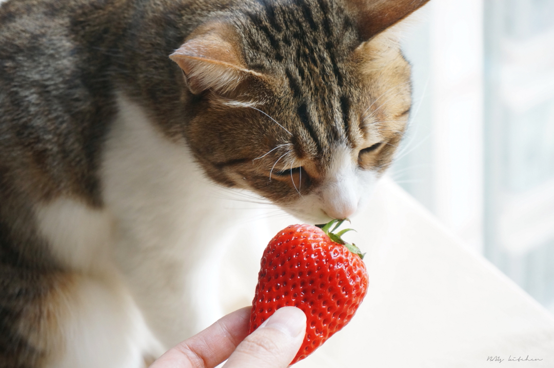 【Nigel Slater】草莓的朴素吃法大全