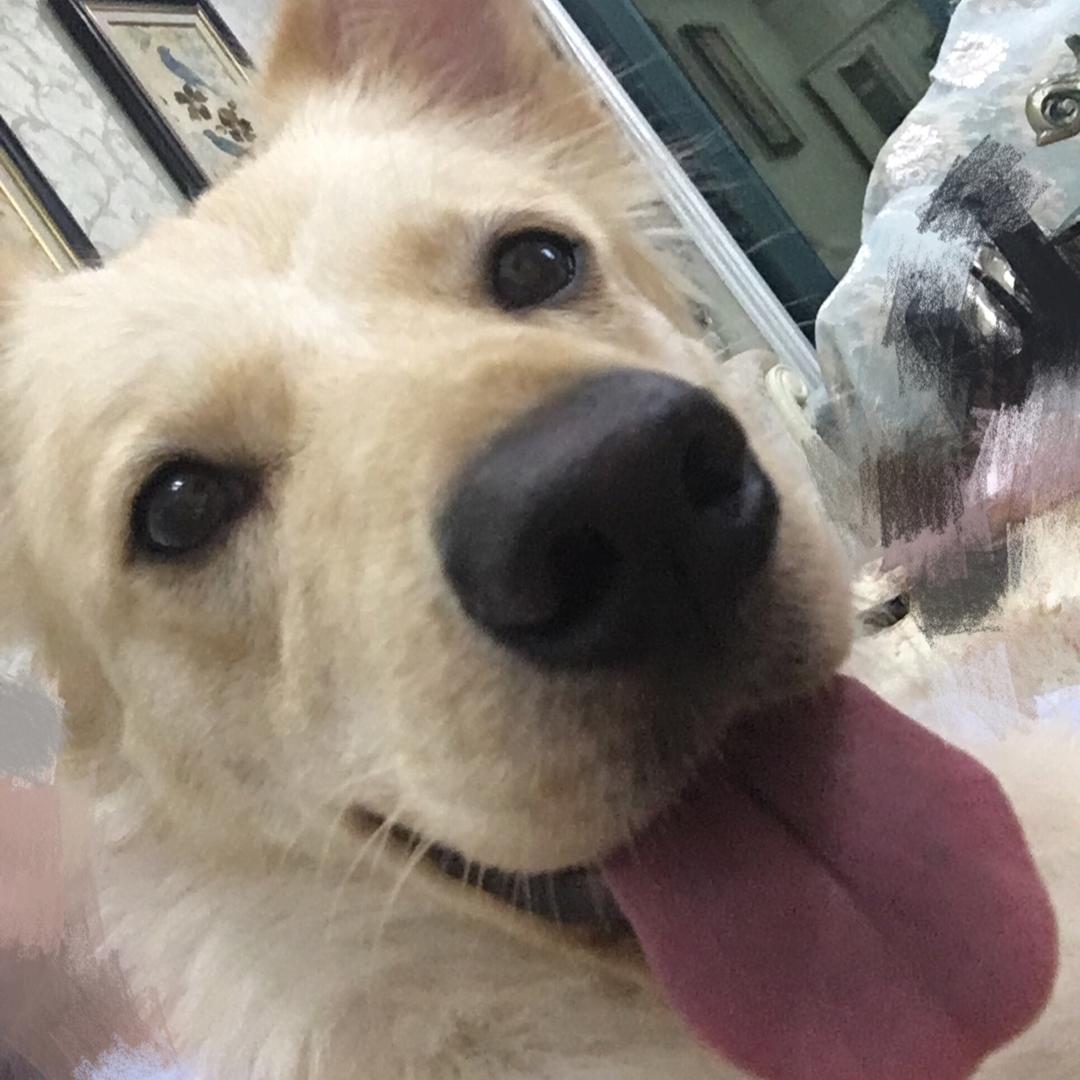 吃吃吃的熊
