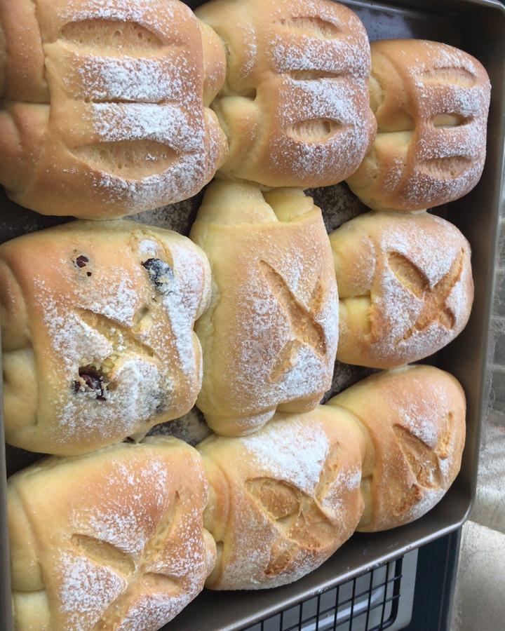 媲美汤种中种无需等待也是软妹子—优格（酸奶）卷卷