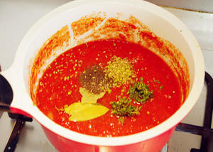 做一罐“意”味满满的番茄酱的做法 步骤8