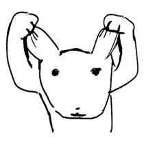 牛奶椰乳樱桃红茶