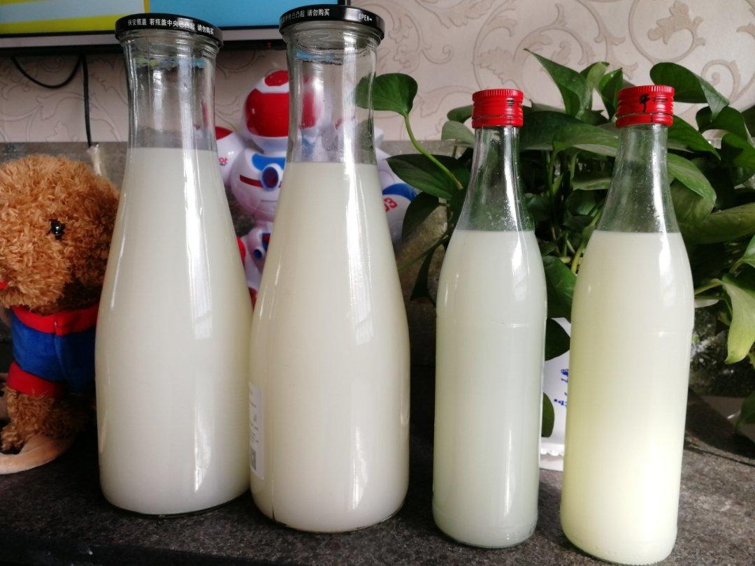 醪糟、酒酿；米酒、甜酒的区别和自制