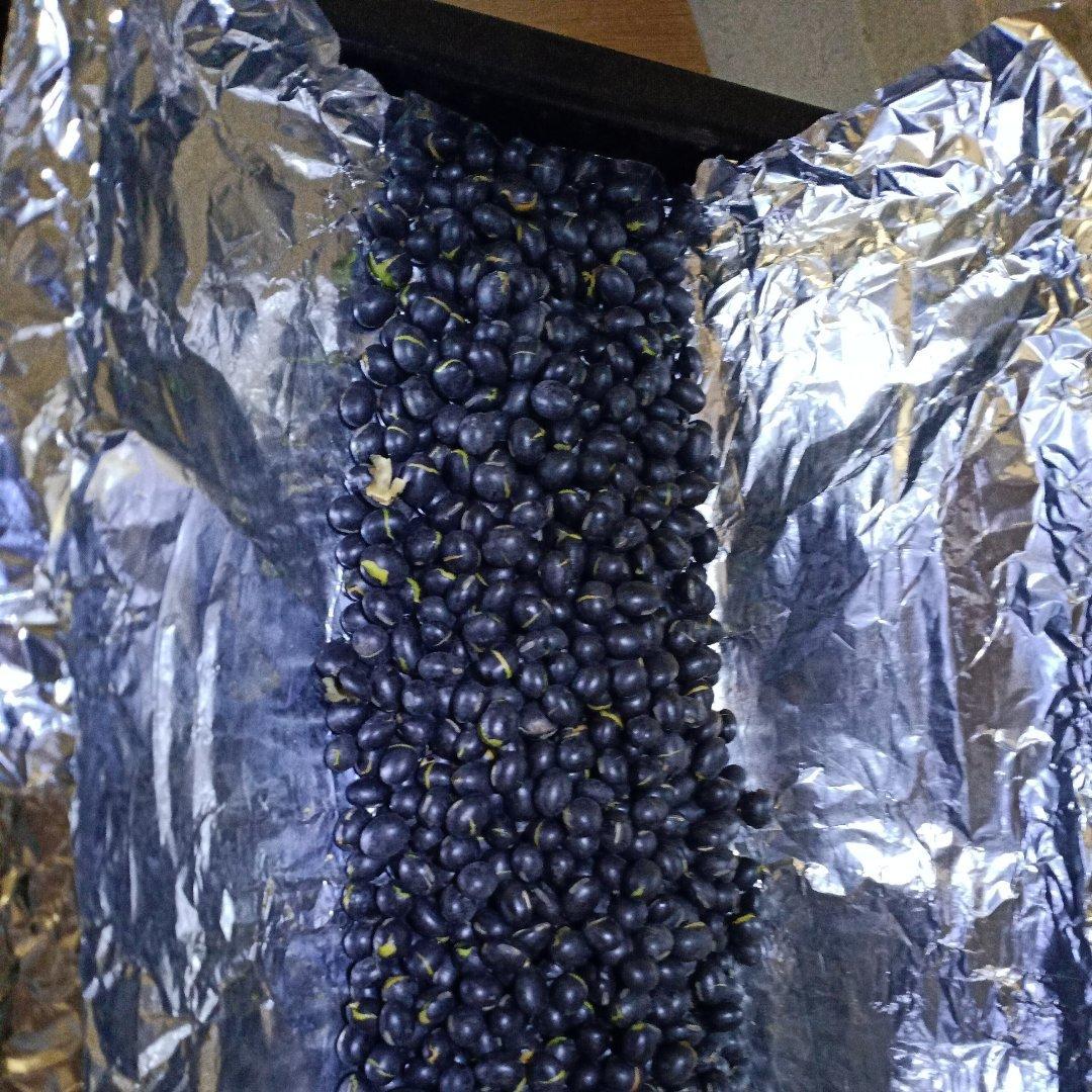 生燕麦烤箱烤制