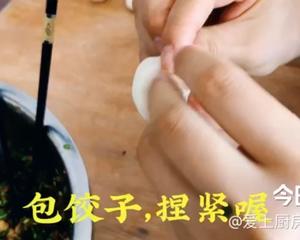 韭菜猪肉粉条饺子的做法 步骤4