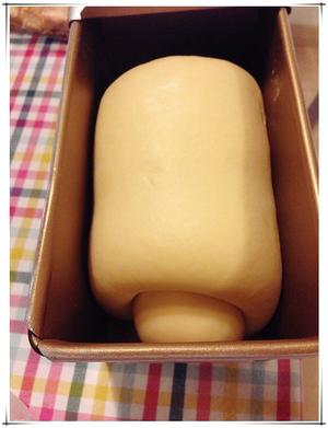 面包圣经--48h低温发酵基础布里欧修（天然酵种版）的做法 步骤10