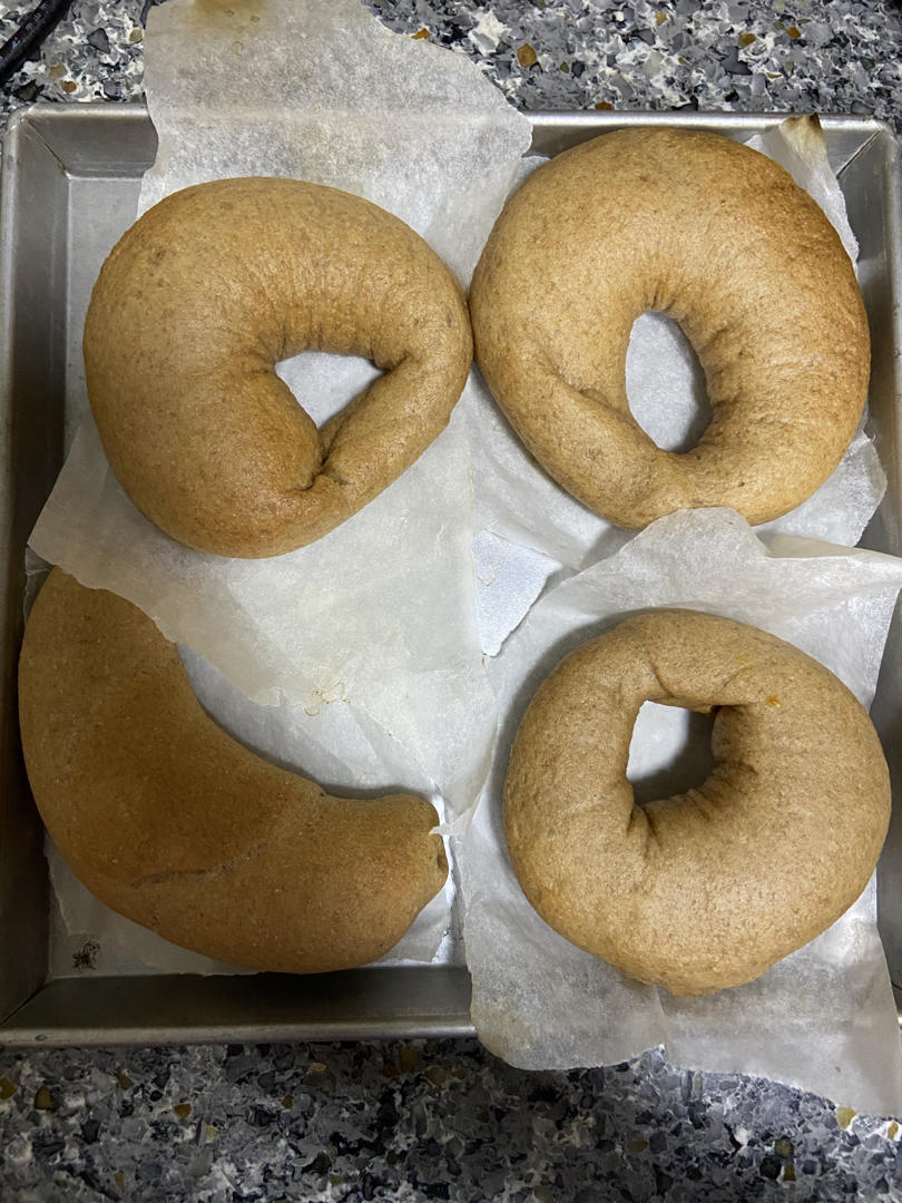 新手友好的无糖无油100%黑全麦贝果