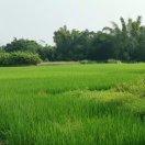 俏7661_为吃而爱下厨