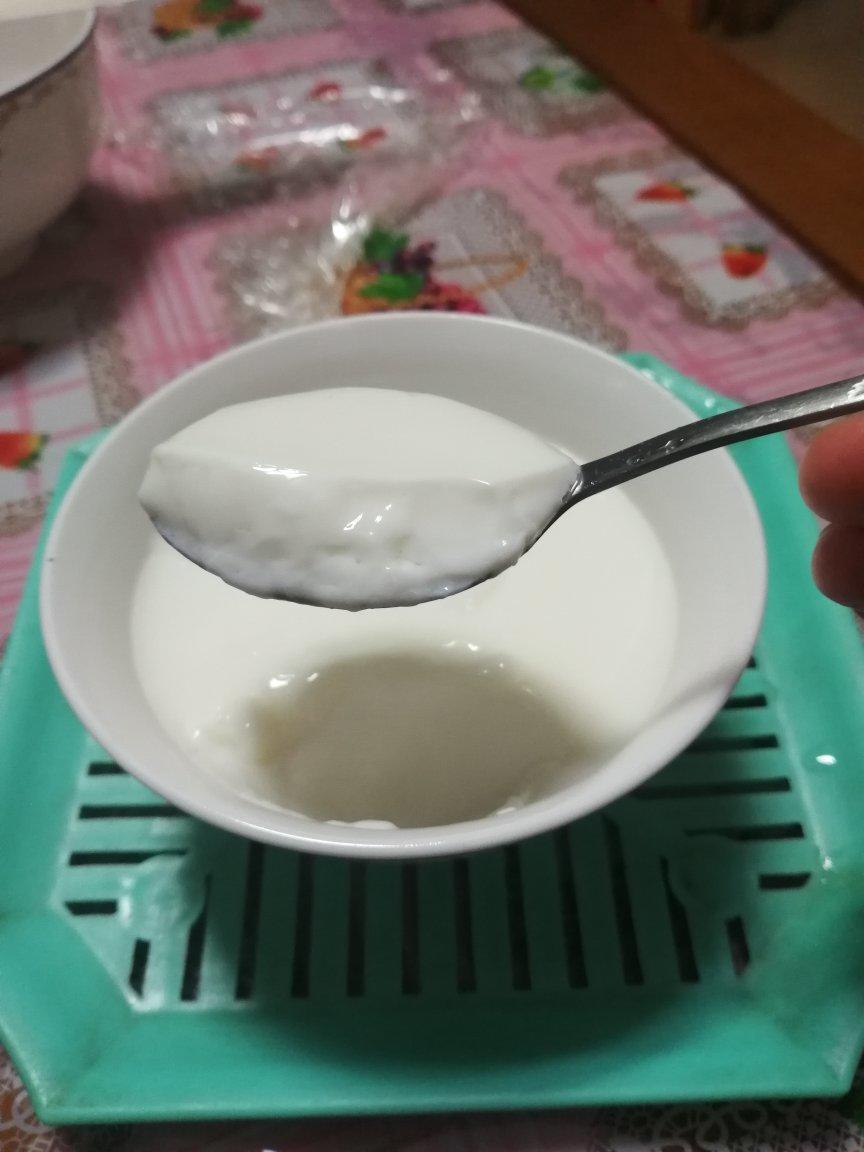 双皮奶