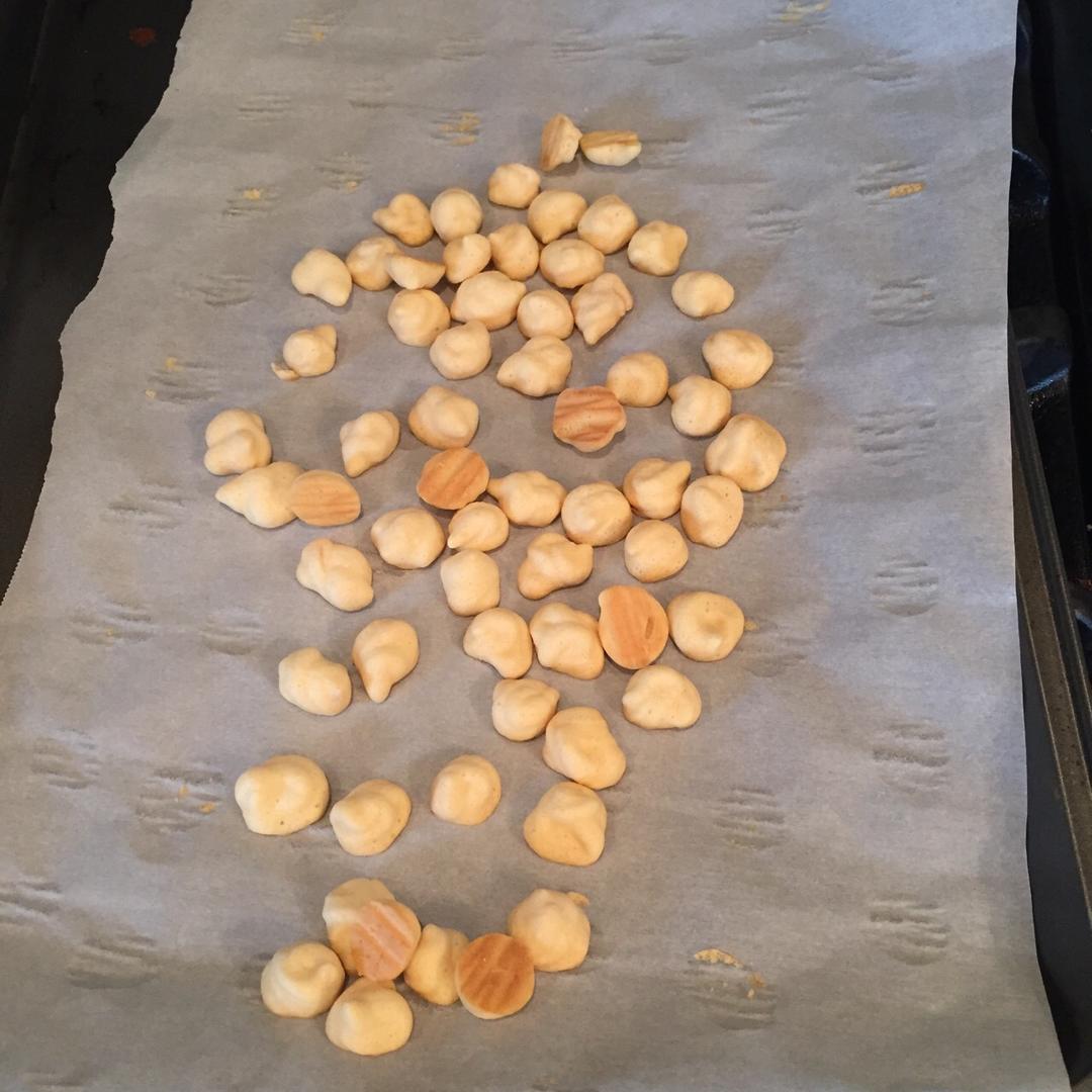 自制_烘干机，烤箱都可以做的 各种果蔬_酸奶溶豆